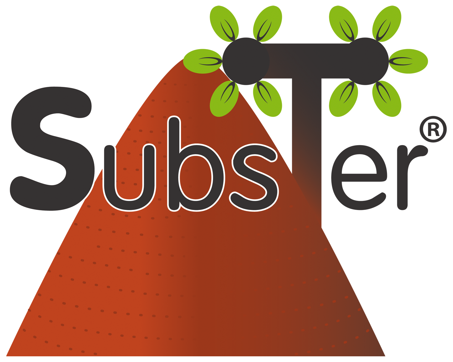 SUBSTER